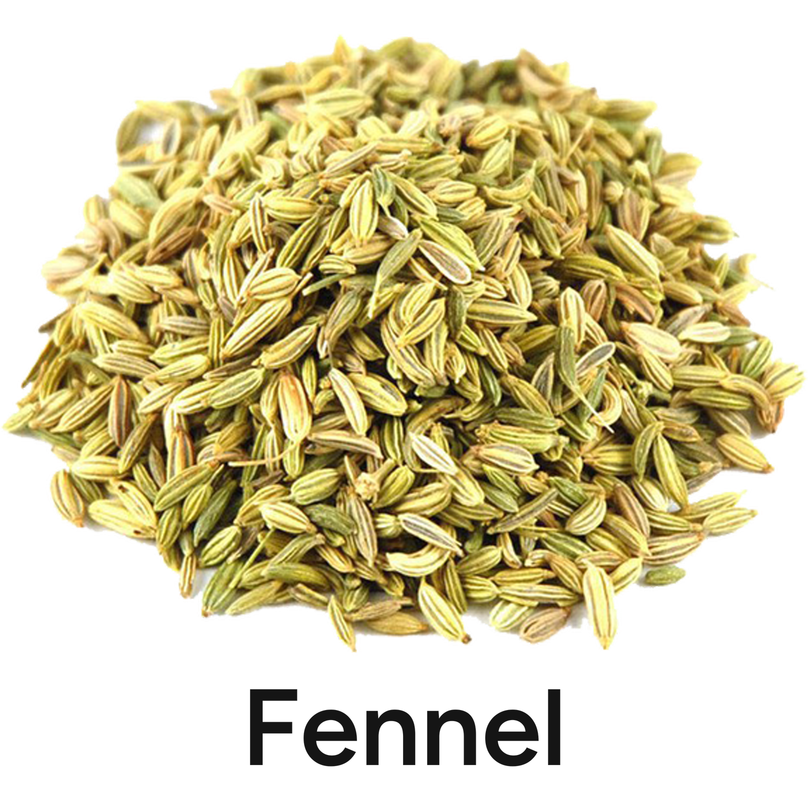 fennel