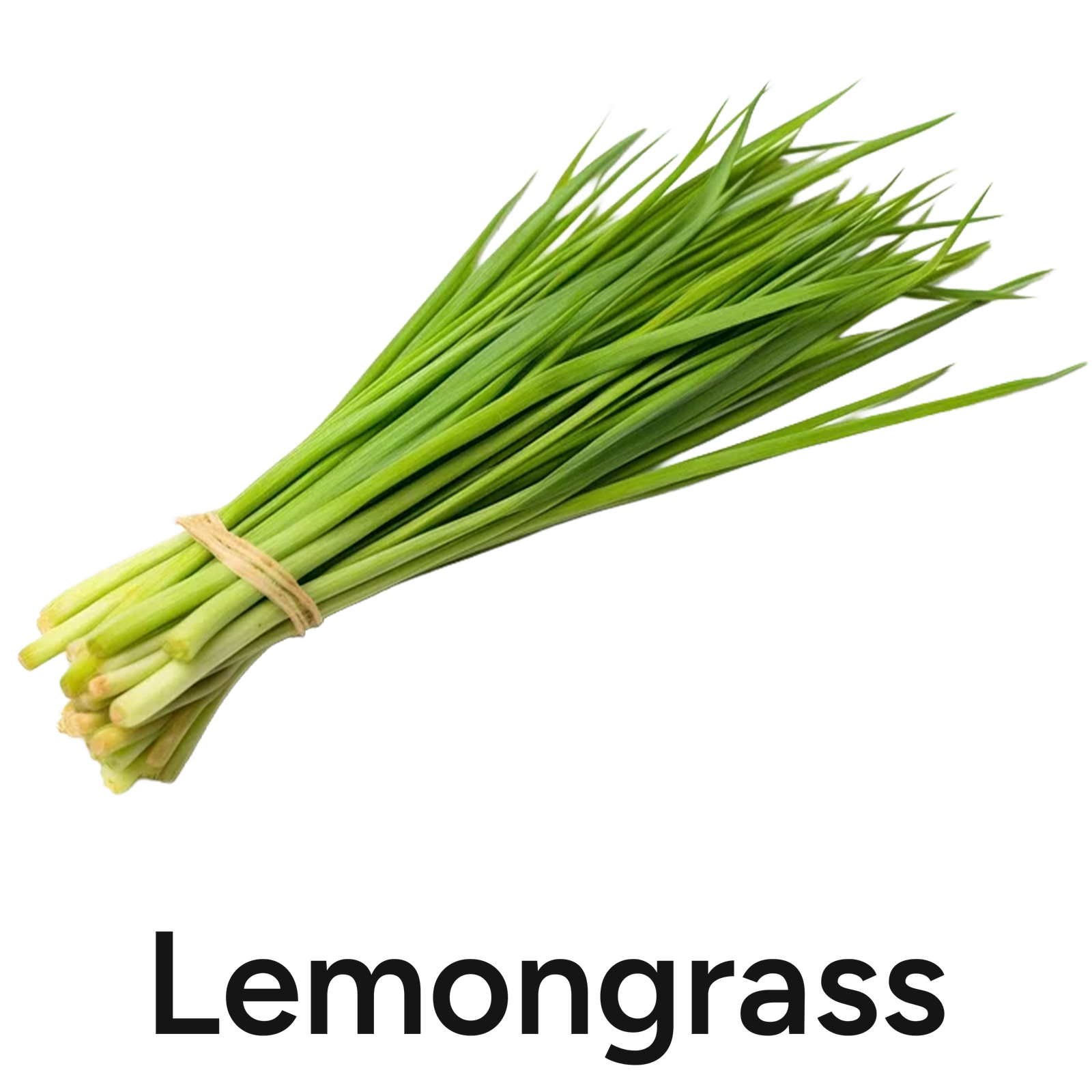 lemongrass